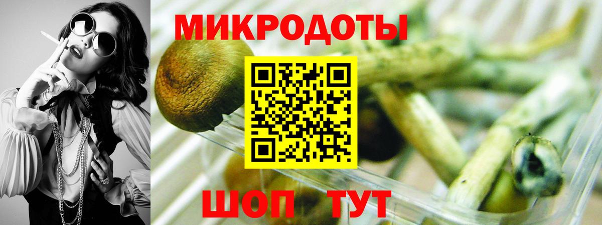 Долгопрудный  Псилоцибиновые грибы мицелий  Вход с VPN 